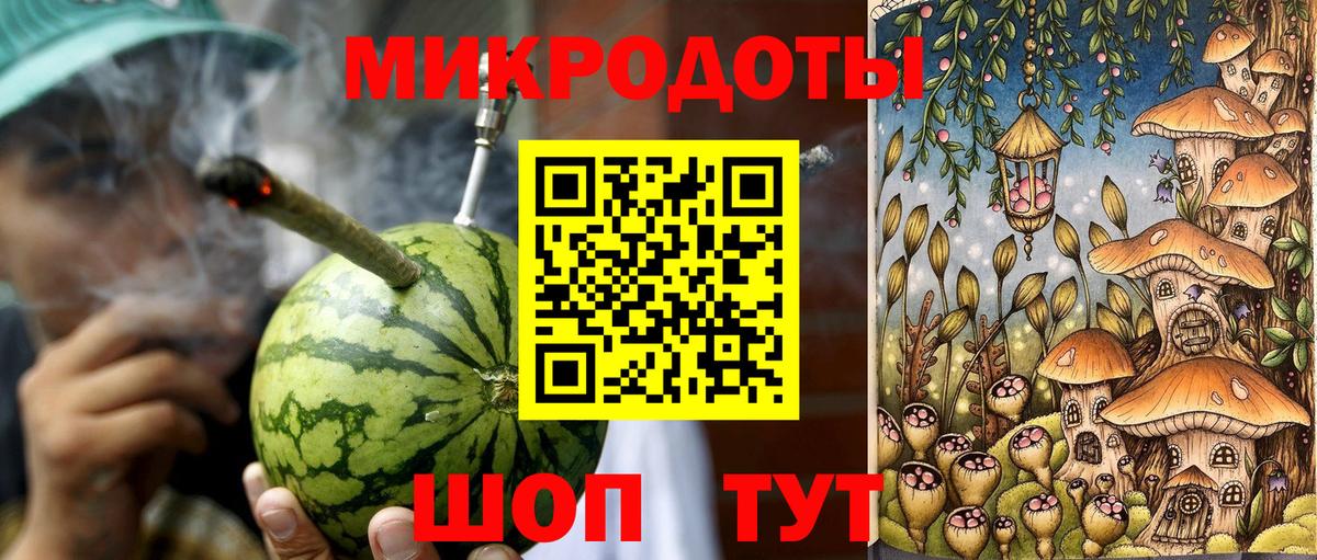 Псилоцибиновые грибы мицелий Таганрог